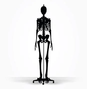 Skeleton silhouette in default pose Stock Illustration