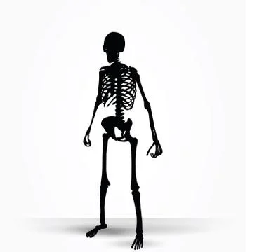 Skeleton silhouette in standing pose Stock Illustration