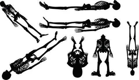 Skeleton silhouette in supine pose Stock Illustration