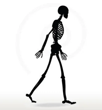 Skeleton silhouette in walk Stock Illustration