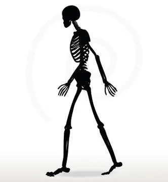 Skeleton silhouette in walk Stock Illustration