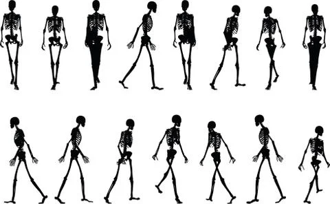 Skeleton silhouette in walk Stock Illustration