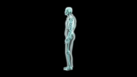 Skeleton Single Leg Balance Side View Overlay Video stock 335449946