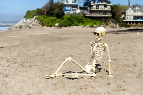 Skeleton sits on the beach watching the waves Stock Photos