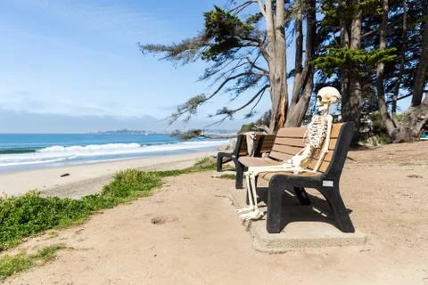 Skeleton sits on a bench at the beach watching the waves Stock Photos