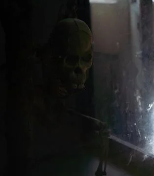 A skeleton is sitting in front of a window. in Chennai Stock Photos