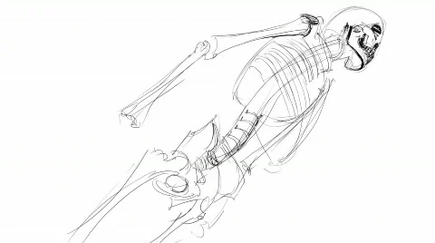 Skeleton sketch Stock Footage