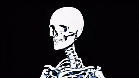 Skeleton sketch, in pencil on a dark background Stock Footage 79728071