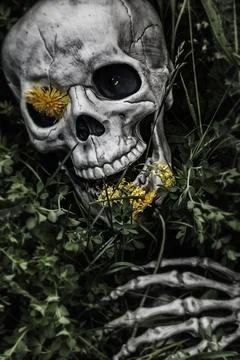Skeleton Skull and Bones in the Grass Stock Illustration