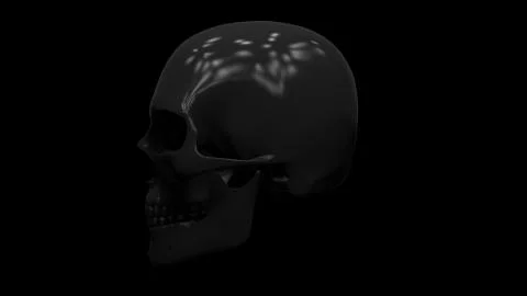 Skeleton skull Stock Illustration