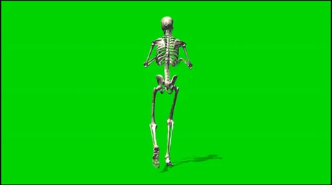 Skeleton slink - isolated green screen footage Stockbeeldmateriaal 33647284