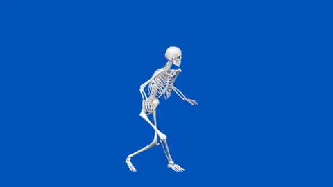 Skeleton sneaking - 3d illustration animation - blue screen Stock Footage 143064485
