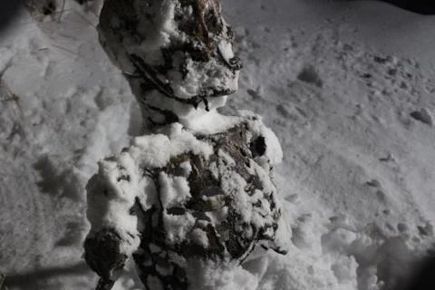 Skeleton in snow 2 Foto stock