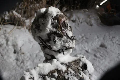 Skeleton in snow left close Foto stock