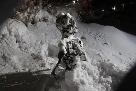 Skeleton in snow left Foto stock
