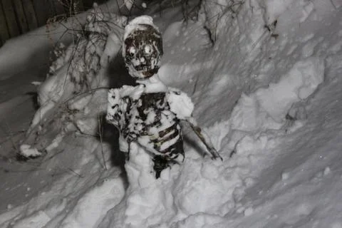 Skeleton in snow left Foto stock