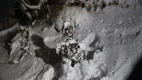 Skeleton in snow Foto stock