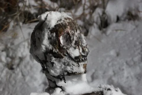 Skeleton in snow very close Foto stock