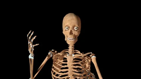 Skeleton Speaking Gesturing Stock Footage 125606060