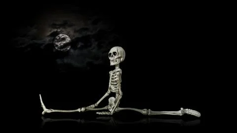 Skeleton Split Stock Photos