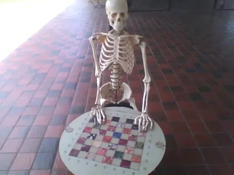 Skeleton standing with his hands in checkers at the science museum Video stock 162285228