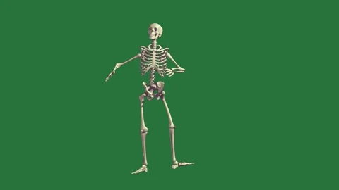 A skeleton standing isolated on green screen background Stock Footage 336955020