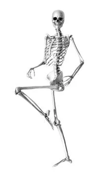 Skeleton Standing - Pencil Drawing Style Stock Illustration