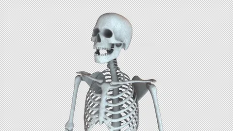 Skeleton Stood Idle Loop Video stock 265086122