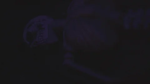 Skeleton Strobe for Halloween Stock Footage 102281120