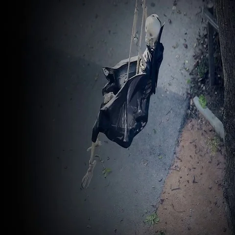 Skeleton On Swing Stock Footage 69506861