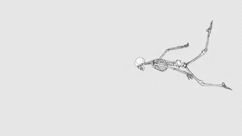 Skeleton Swiw Across Alpha Stock Footage 278378104