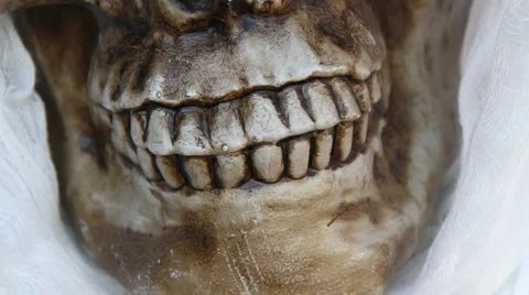 Skeleton Teeth 動画素材 909030