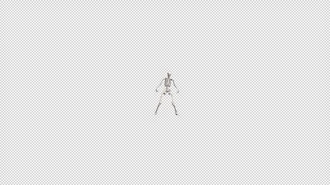 Skeleton thriller full dance - 3d render with alpha channel. Stock Footage 250102149