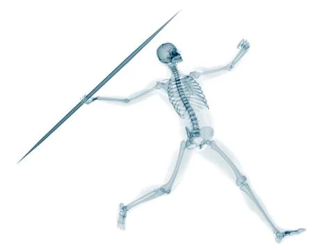 Skeleton throwing javelin, artwork Stock Illustration