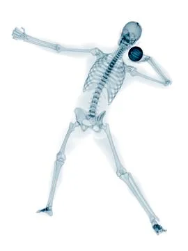 Skeleton throwing shot put, artwork Stock Illustration