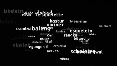 Skeleton Translated in 56 Worldwide Languages Endless Looping 3d Zooming Word Video stock 145206544