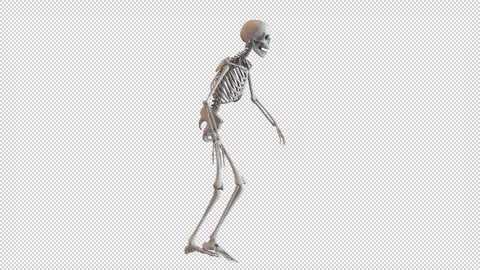 Skeleton Unsteady Walk Cycle Loop Stock Footage 265088765