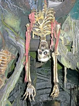 Skeleton upside down Stock Photos