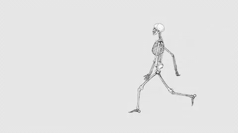 Skeleton Walk Across Alpha Stock Footage 278378515