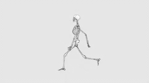 Skeleton Walk Alpha Stock Footage 278383570