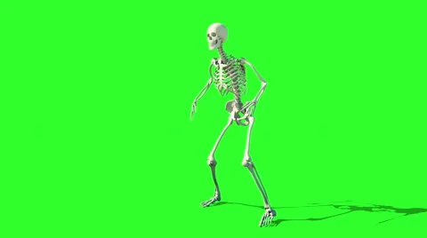 Skeleton walk animation. GI render. Green screen footage. Halloween concept. Vidéo 67996332