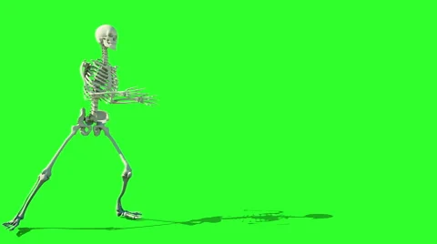 Skeleton walk animation. GI render. Green screen footage. Halloween concept. Stock Footage 67996594
