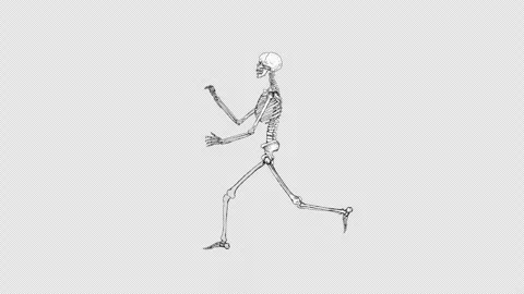 Skeleton Walk arms Alpha Stock Footage 278383688