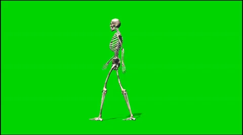 Skeleton walk - isolated green screen footage Stock-Footage 33647294