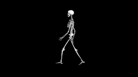 Skeleton Walk with Matte Stock Footage 278381950