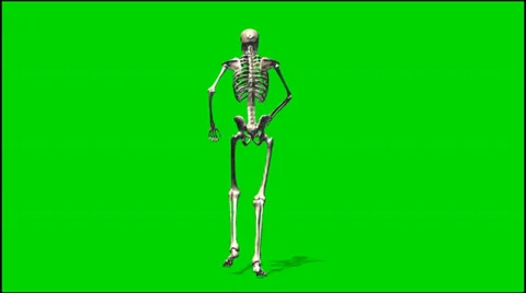 Skeleton walk rage - isolated green screen footage 3 Stock Footage 33646791
