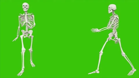 Skeleton walk. Seamless loop animation on green screen. Video stock 97530508