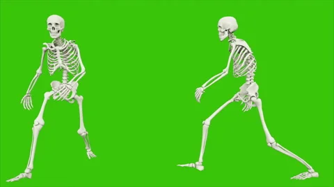 Skeleton walk. Seamless loop animation on green screen. Video stock 97531635