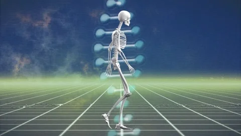 Skeleton walking across grid after animation start, showing rhythmic gait Stock Footage 329899335