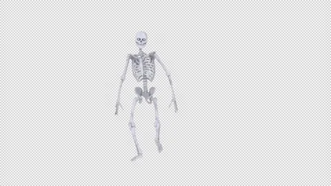 Skeleton Walking Looped Stock Footage 165428277